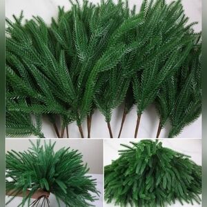 PINE STEMS BRANCHES DECOR